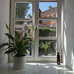 Fynbos In Der Altstadt, Frauenkirche, Historisch, Parkplatz マイセン