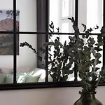 Fynbos In Der Altstadt, Frauenkirche, Historisch, Parkplatz