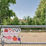 Fynbos In Der Altstadt, Frauenkirche, Historisch, Parkplatz *