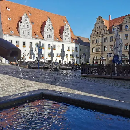 Fynbos In Der Altstadt, Frauenkirche, Historisch, Parkplatz *