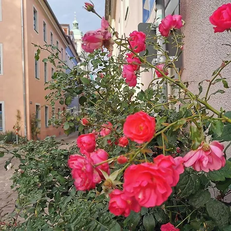 Fynbos In Der Altstadt, Frauenkirche, Historisch, Parkplatz Apartment *