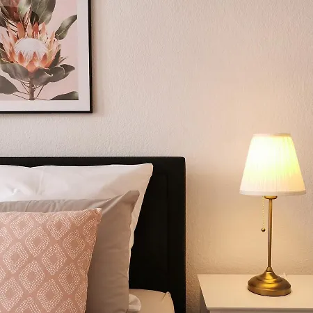 Fynbos In Der Altstadt, Frauenkirche, Historisch, Parkplatz Daire Meißen