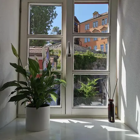 Fynbos In Der Altstadt, Frauenkirche, Historisch, Parkplatz Meissen
