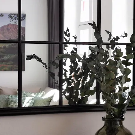 Fynbos In Der Altstadt, Frauenkirche, Historisch, Parkplatz