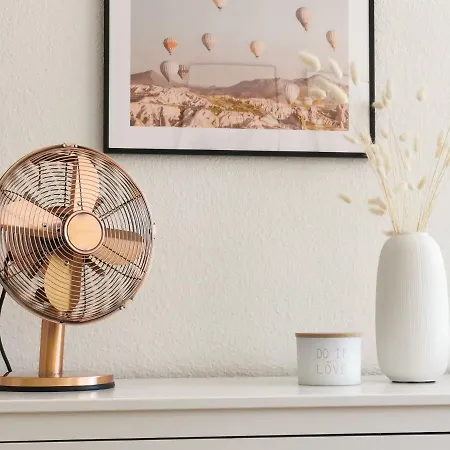 Fynbos In Der Altstadt, Frauenkirche, Historisch, Parkplatz * Meißen