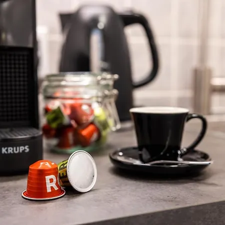 Fynbos In Der Altstadt, Frauenkirche, Historisch, Parkplatz * マイセン