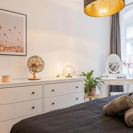 Fynbos In Der Altstadt, Frauenkirche, Historisch, Parkplatz Meißen