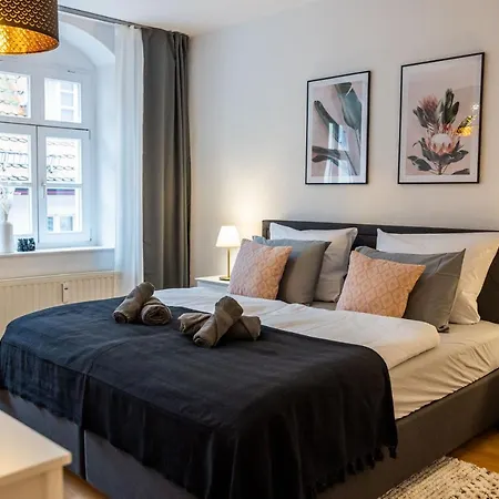 Fynbos In Der Altstadt, Frauenkirche, Historisch, Parkplatz