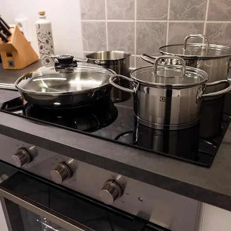 Apartman Fynbos In Der Altstadt, Frauenkirche, Historisch, Parkplatz Meißen