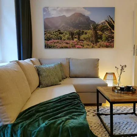 Fynbos In Der Altstadt, Frauenkirche, Historisch, Parkplatz Meißen