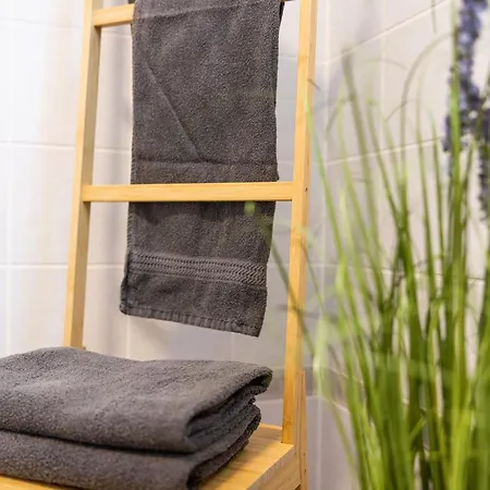 Fynbos In Der Altstadt, Frauenkirche, Historisch, Parkplatz Apartment *