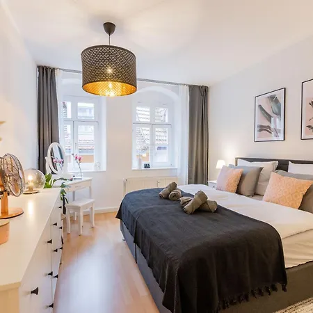 Fynbos In Der Altstadt, Frauenkirche, Historisch, Parkplatz * Meissen