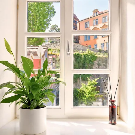 아파트 Fynbos In Der Altstadt, Frauenkirche, Historisch, Parkplatz