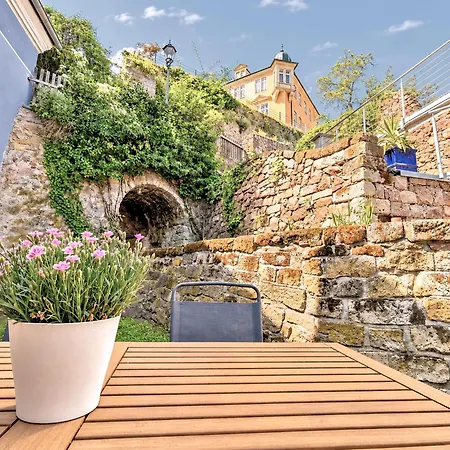 Fynbos In Der Altstadt, Frauenkirche, Historisch, Parkplatz * Meißen