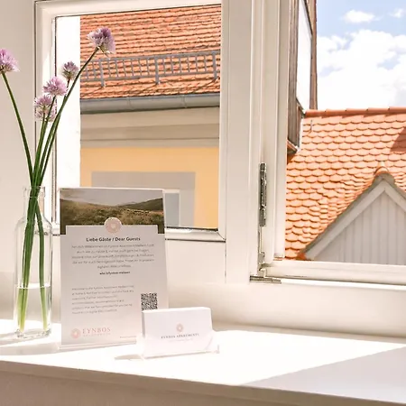 Fynbos In Der Altstadt, Frauenkirche, Historisch, Parkplatz Meißen