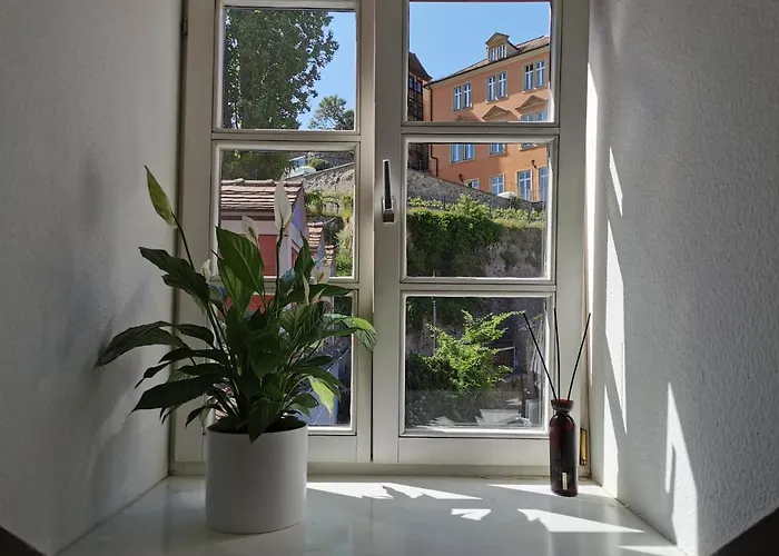 Fynbos In Der Altstadt, Frauenkirche, Historisch, Parkplatz Meißen