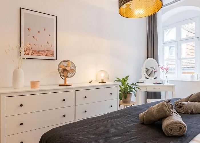 Fynbos In Der Altstadt, Frauenkirche, Historisch, Parkplatz Meißen