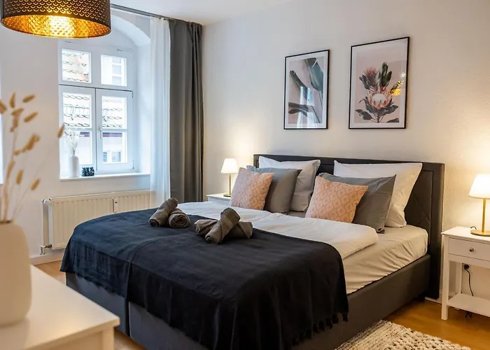 Fynbos In Der Altstadt, Frauenkirche, Historisch, Parkplatz